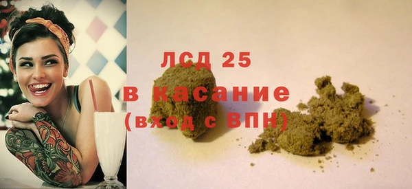 индика Балабаново