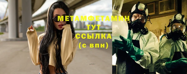 индика Балабаново