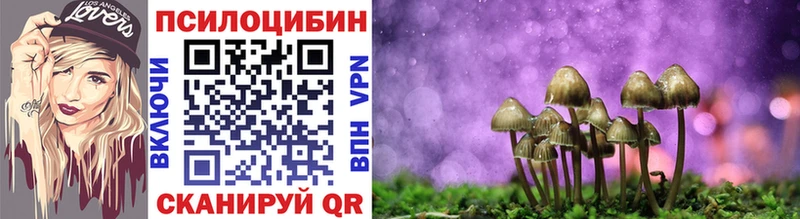 Галлюциногенные грибы GOLDEN TEACHER купить закладку Лермонтов